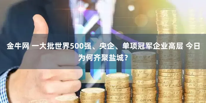 金牛网 一大批世界500强、央企、单项冠军企业高层 今日为何齐聚盐城？