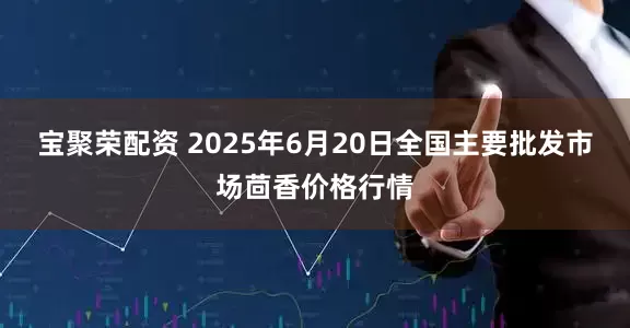 宝聚荣配资 2025年6月20日全国主要批发市场茴香价格行情